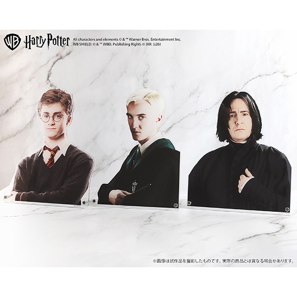[Pre-order] [Made to Order] Harry Potter Extra Large Die-Cut Acrylic Panel (Severus Snape) 